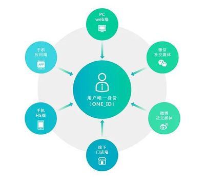 流量枯竭时代的破局之道 数字化转型与数据采集驱动电商新增长