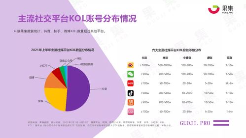 2021年上半年社交电商行业分析报告 基于果集数据与互联网数据的洞察